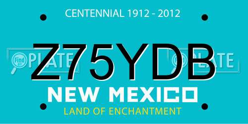 Z75YDB New Mexico License Plate