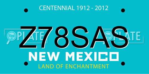 Z78SAS New Mexico License Plate