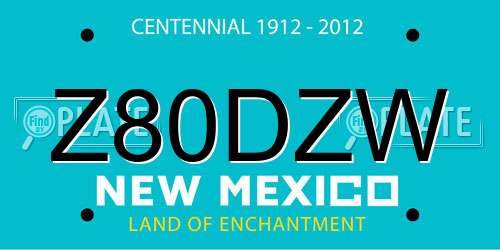 Z80DZW New Mexico License Plate