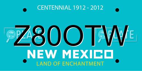 Z80OTW New Mexico License Plate