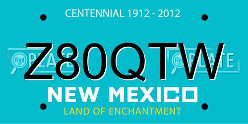 Z80QTW New Mexico License Plate