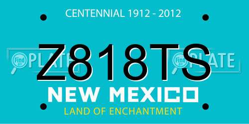 Z818TS New Mexico License Plate