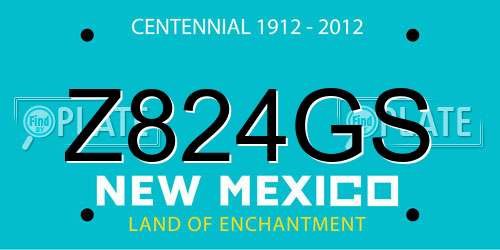 Z824GS New Mexico License Plate