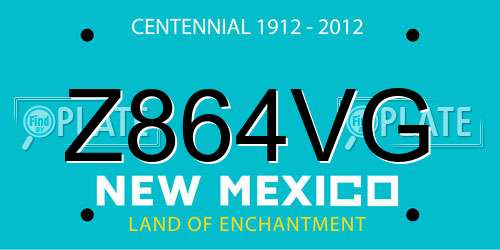 Z864VG New Mexico License Plate