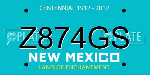 Z874GS New Mexico License Plate