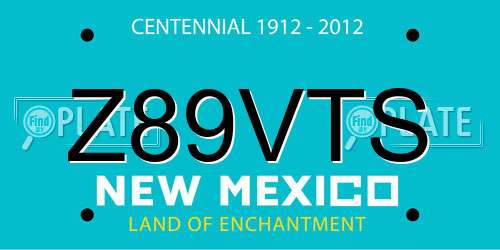 Z89VTS New Mexico License Plate