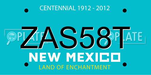 ZAS58T New Mexico License Plate