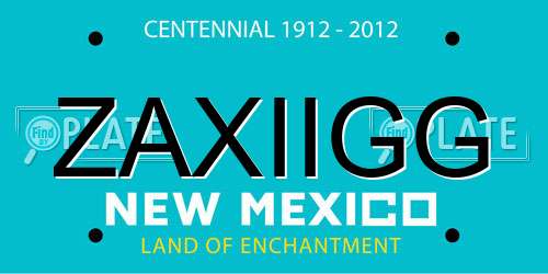 ZAXIIGG New Mexico License Plate
