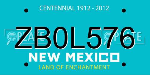 ZB0L576 New Mexico License Plate