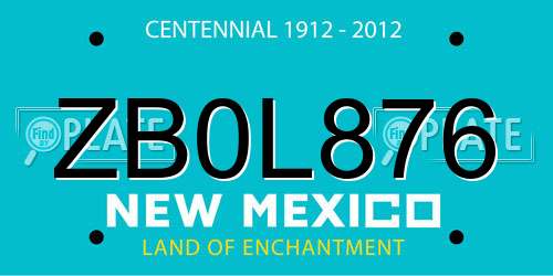 ZB0L876 New Mexico License Plate