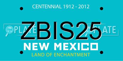 ZBIS25 New Mexico License Plate