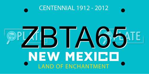 ZBTA65 New Mexico License Plate