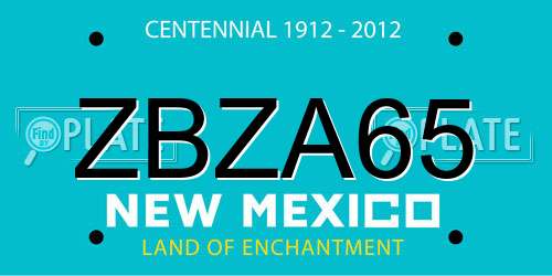 ZBZA65 New Mexico License Plate