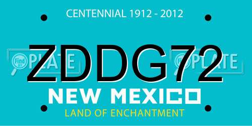ZDDG72 New Mexico License Plate