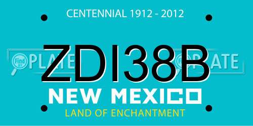 ZDI38B New Mexico License Plate