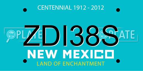 ZDI38S New Mexico License Plate