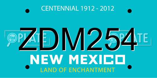 ZDM254 New Mexico License Plate