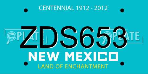 ZDS653 New Mexico License Plate