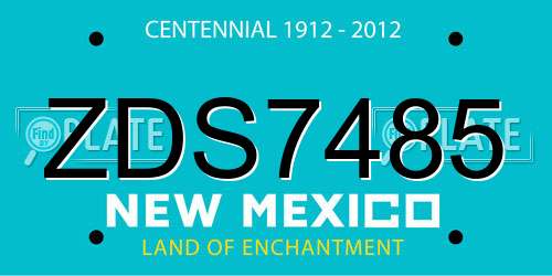 ZDS7485 New Mexico License Plate