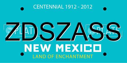ZDSZASS New Mexico License Plate