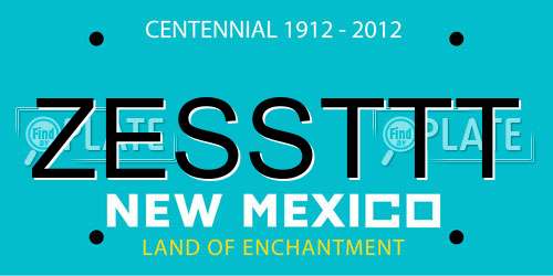 ZESSTTT New Mexico License Plate