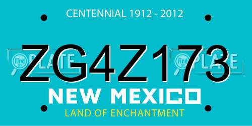 ZG4Z173 New Mexico License Plate
