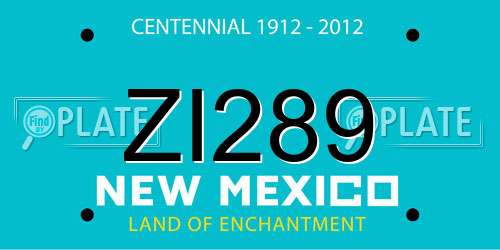 ZI289 New Mexico License Plate
