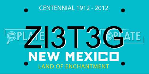 ZI3T3G New Mexico License Plate