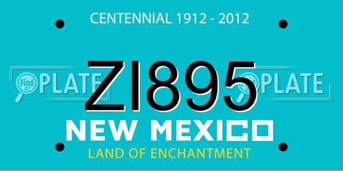 ZI895 New Mexico License Plate
