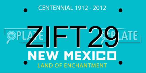 ZIFT29 New Mexico License Plate