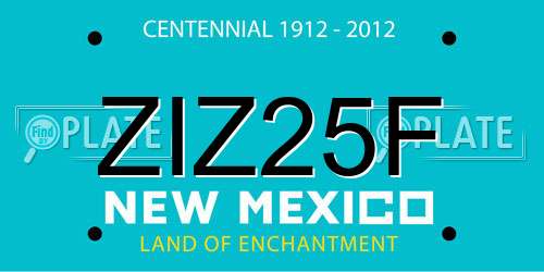 ZIZ25F New Mexico License Plate