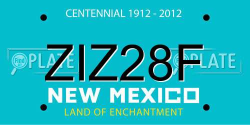 ZIZ28F New Mexico License Plate