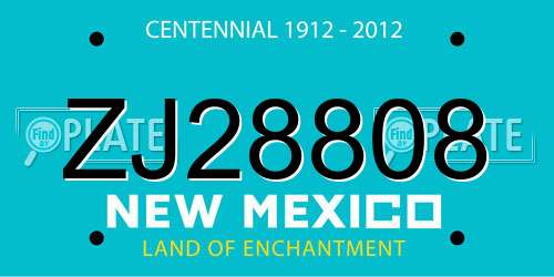 ZJ28808 New Mexico License Plate