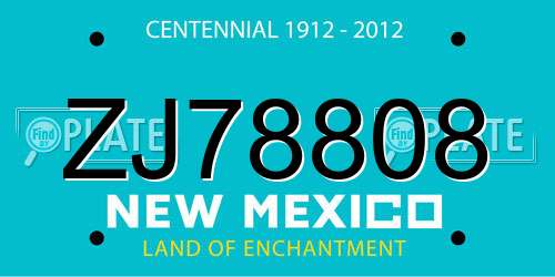ZJ78808 New Mexico License Plate