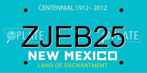 ZJEB25 New Mexico License Plate