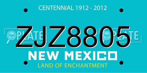 ZJZ8805 New Mexico License Plate