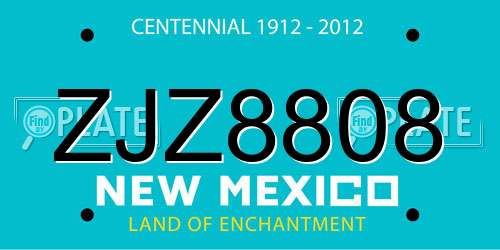 ZJZ8808 New Mexico License Plate