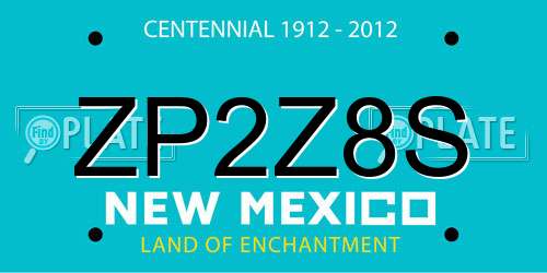 ZP2Z8S New Mexico License Plate