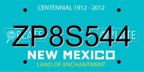 ZP8S544 New Mexico License Plate