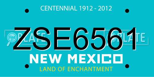 ZSE6561 New Mexico License Plate