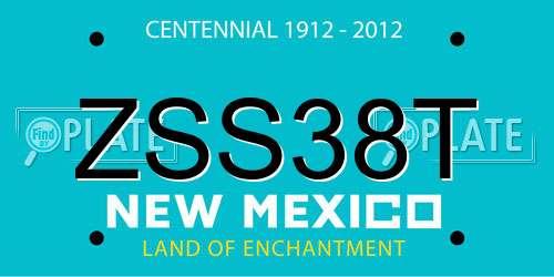 ZSS38T New Mexico License Plate