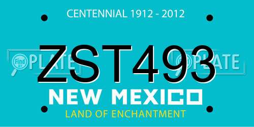 ZST493 New Mexico License Plate