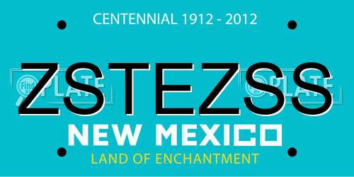 ZSTEZSS New Mexico License Plate