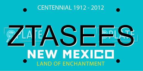 ZTASEES New Mexico License Plate
