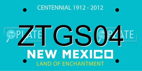 ZTGS04 New Mexico License Plate