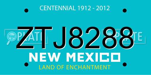 ZTJ8288 New Mexico License Plate