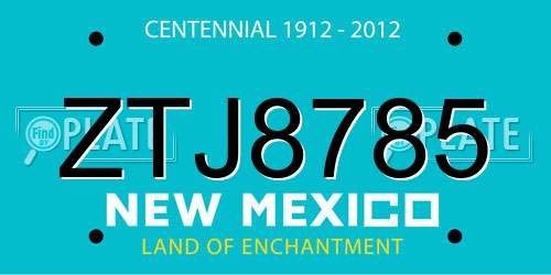 ZTJ8785 New Mexico License Plate