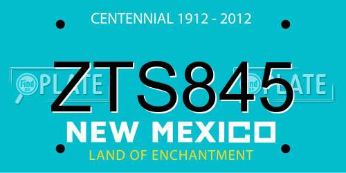 ZTS845 New Mexico License Plate