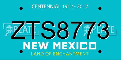 ZTS8773 New Mexico License Plate