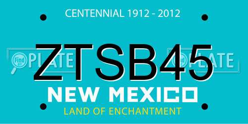 ZTSB45 New Mexico License Plate